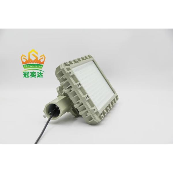 403 Hazadous Location Explosion Proof LED Flood Light Fulfilling Customer