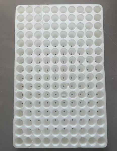 Buy 160-cell round floating seedling tray at wholesale prices