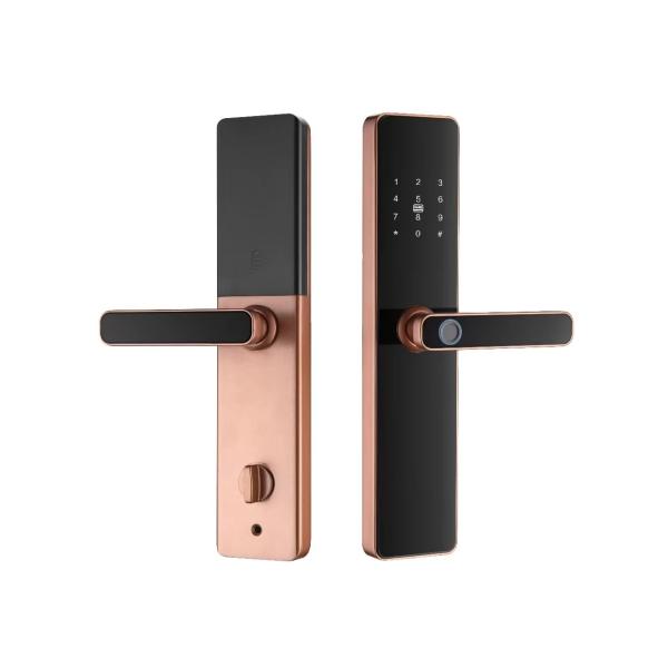 Buy S819 Smart Fingerprint Locks Zigbee Biometric Door Locks For Home at wholesale prices