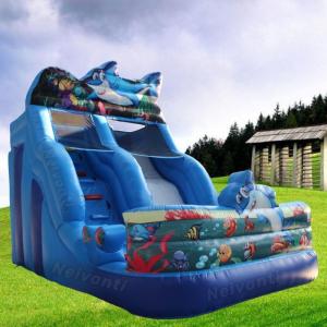 Quality Max Capacity 100-500kg Customized Color Inflatable Mario Water Slide Coming in 2024 for sale