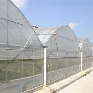 Multi Span Polyethylene Film Greenhouse Large Scale Wide Application