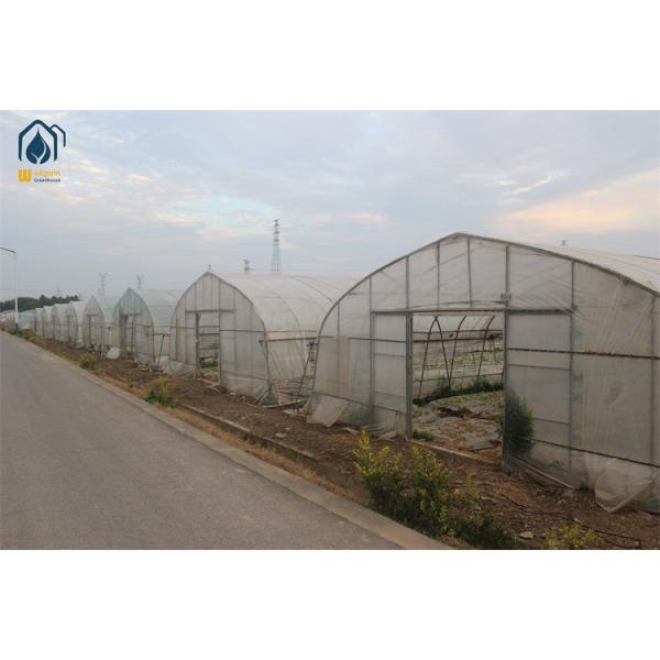 Buy Arched Temperature Control Tunnel Green Houses With Outside Shading System at wholesale prices