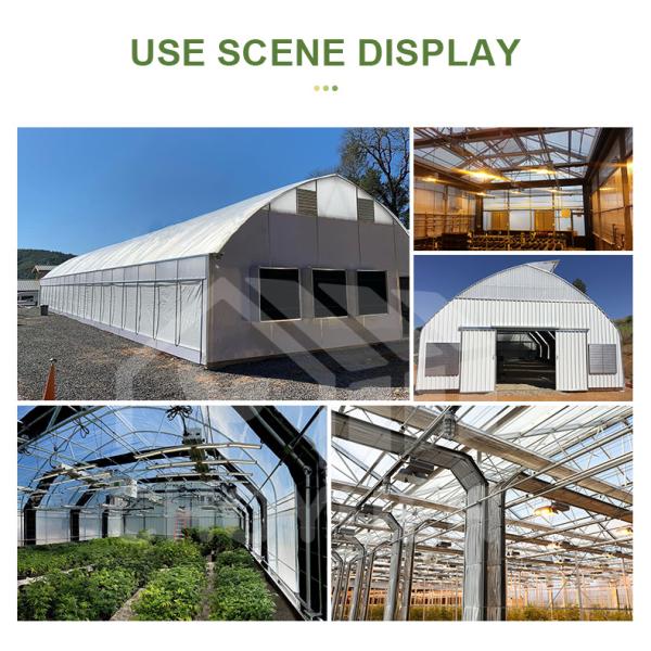 Mushroom Light Deprivation Greenhouse With Hot Dip Galvanized Steel Pipe