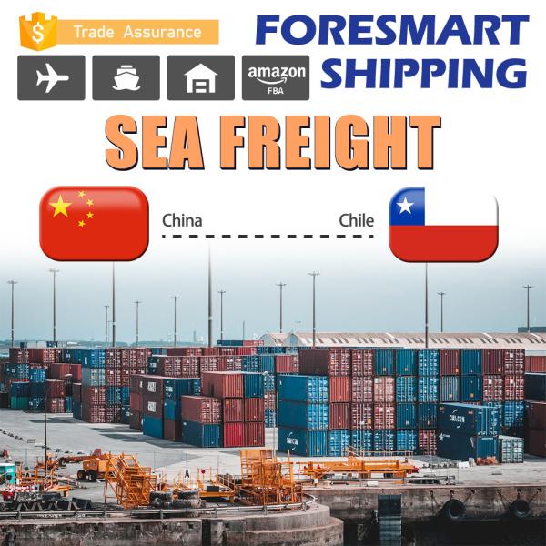 Buy China To Chile FCL Sea Freight , FCL Freight Forwarding 20FT 40FT 40HQ at wholesale prices