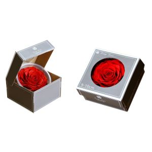 China factory Real Preserved Rose in Gift Box for Decoration Gift Preserved Flowers in Box
