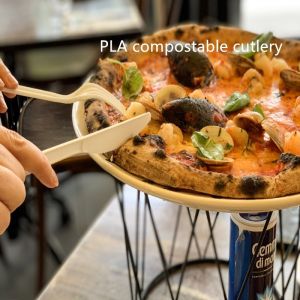 Biodegradable CPLA Knife Spoon And Fork For Lunch