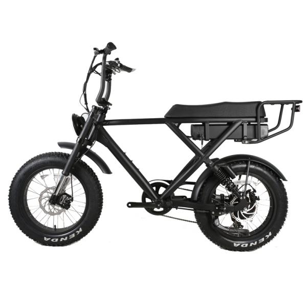 Smart Type Sensor DOMANCA 500w/750w/1000w Full Suspension Super Electric Cruiser Bikes