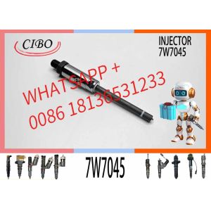 Fuel Injector Nozzle 170-5181 7W7045 with Best Competitive Price 7W-7045