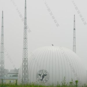 Sphere Air Supported Structure Biogas Holder with Double Membrane