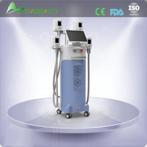 China beauty salon equipment double cryolipolysis machine 4 handles
