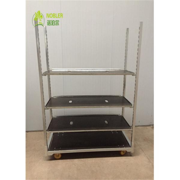 Buy Plywood Dutch Flower Trolley Seedling Cart For Propagation Room at wholesale prices