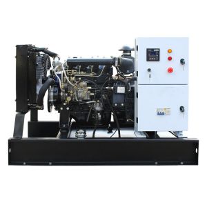 20kw 1800rpm Small Yangdong Genset Diesel Generator with Automatic Alarm System