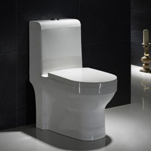 19 Inch Tall Elongated One Piece Floor Mounted Toilet 15 Inch