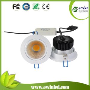 10W COB LED Downlight