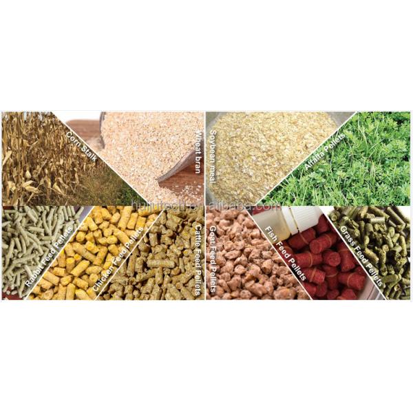 Broiler Pig Chicken Fish Cattle Poultry Feed Pellet Machine 2 Ton Per Hour