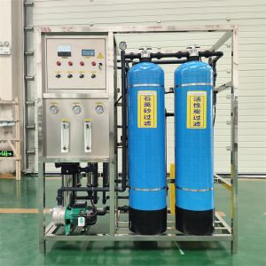 Quality Acid And Alkali Resistant Water Treatment Machinery 1 T Double Tank Reverse Osmosis Water Purification System for sale