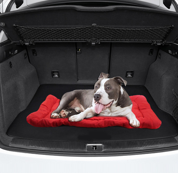 Buy Travel Waterproof Outdoor Cat Blanket 5cm Thick PP Cotton at wholesale prices