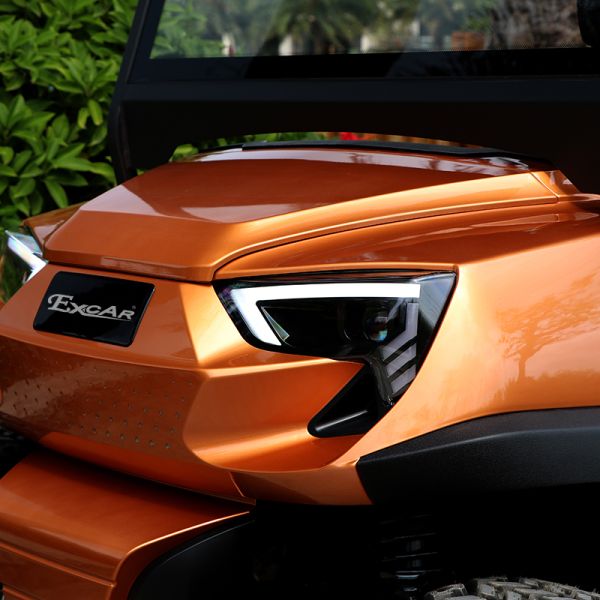 Strong and Elegant 2 Front Seats & 2 Rear Electric Golf Carts Carried 5KW Motor & 48V Lithium Battery