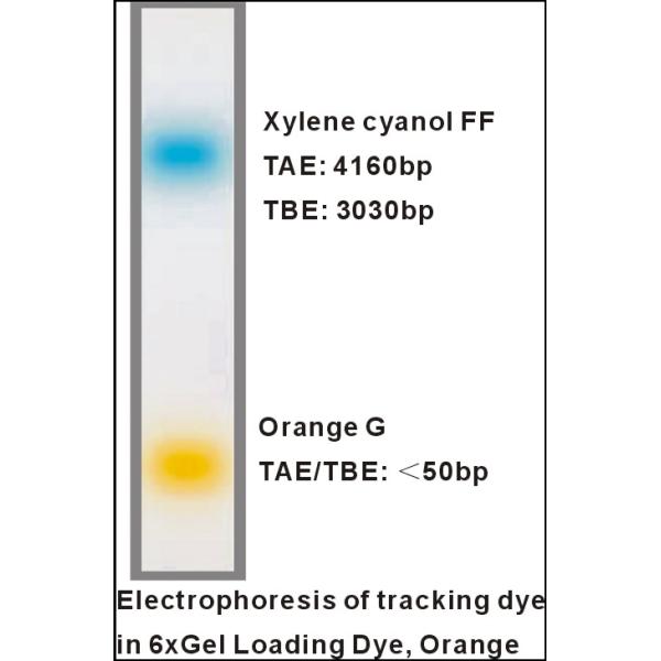 Orange 6x DNA Loading Dye 1mlx5 DNA Electrophoresis Loading Buffer