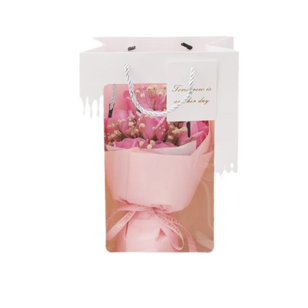 Valentine's Day 520 Starry Sky Dried Flowers Rose Bundle for Boyfriend and Wife Holiday Gift Romantic Companion Gift