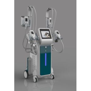 4 handles Coolsculpting body slimming cryolipolysis fat freeze slimming machine