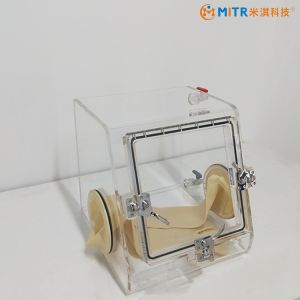 Sample Structure Lab Glove Box With Inert Atmosphere Experiment Chamber