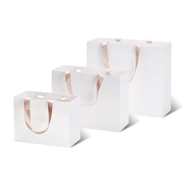 Custom Logo Popular Boutique Shopping Paper Bag in Gravure Print Design for Shoes