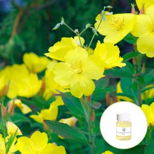 Natural Body Massage Evening Primrose Oil Eliminate Rheumatoid Arthritis