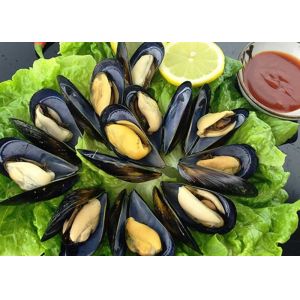 Cooked Mussel Half Shell Mytilus