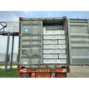 Metalaxyl-M 10% + Axoxystrobin 20% SE ,Applied On Potato To Control Of Late