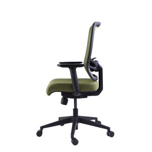Green Mesh Optional Headrest Tilt Functional Ergonomic Executive Chair