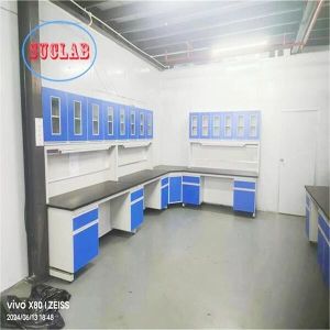 Modern Modular Chemistry Lab Furniture Manufacturers with Modular Structure