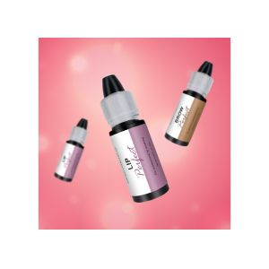 MSDS Permanent Makeup Pigments Lip Blush Color Eyebrow Cosmetics Ink