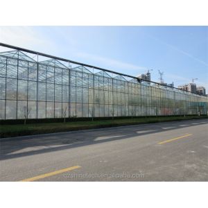 Large Agricultural Greenhouse with Galvanized Steel Frame and Optional Cooling