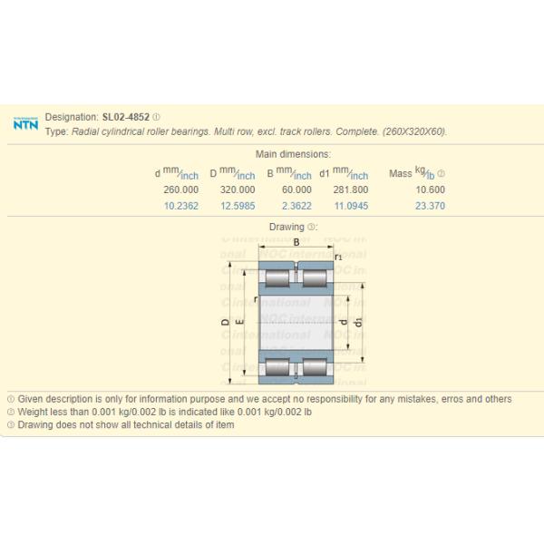 Full Complement SL02 4852-A-C3 Cylindrical Roller Bearing 260 × 320 × 60 mm