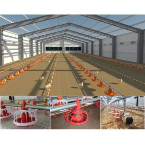 Galvanized Poultry Light Steel Frame Construction Bolts Connection Steel Chicken