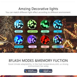 Intelligent Tuya Wi-Fi RGB Color Lighitng Decoration Wedding Lights Outdoor LED