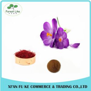 Direct Manufacture Wholesale Top Quality Pure Saffron Extract 95 % Crocetin