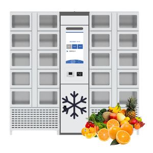 Winnsen Automatic 24 Hours Cooling Vending Locker Cabinets Refrigerated Eggs