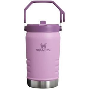 IceFlow Stainless Steel Tumbler with Straw, Vacuum Insulated Water Bottle for
