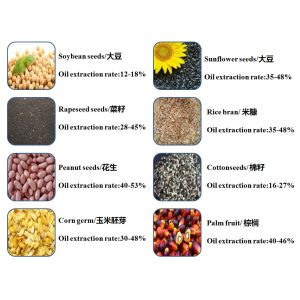 High Efficiency Vegetable Oil Making Machine Sesame Oil Press Machine Sunflower