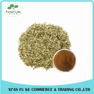 Best Selling Natural Yerba Mate Extract Polyphenol Tannin acid
