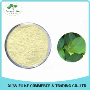 100% Natural Chaste Tree / Fructus Viticis Extract Powder