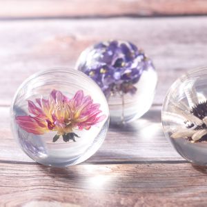 Fashion Crystal Ball Paperweight , Resin Dandelion Paperweight