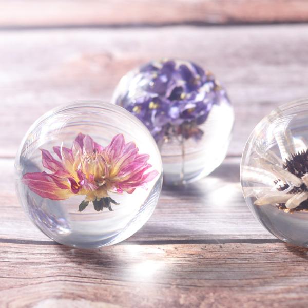 Buy Fashion Crystal Ball Paperweight , Resin Dandelion Paperweight at wholesale prices