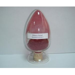 High quality Cranberry Powder for drinks Cranberry juice powder