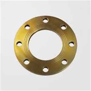 Quality ANSI B16.5 C70600 Class150 SCH40 Flange Dn750 Copper Nickel Forged Flange for sale