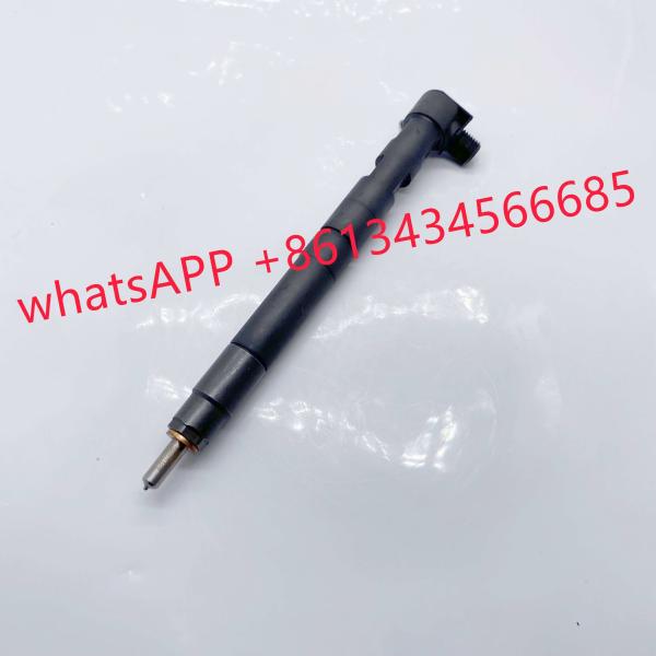 28229873 33800-4A710 40090300076A Common Rail Injector For Kia Bongo Hyundai Starex H-1