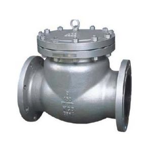 High Temperature Swing Check Valve Dn 600 Cf8m with ODM Customized Manufacturing
