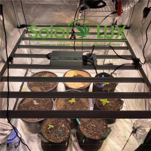 Full Spectrum Hydroponic LED 800watt Lm301b Grow Light